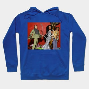 Sonny and Cher in Danger!! Hoodie